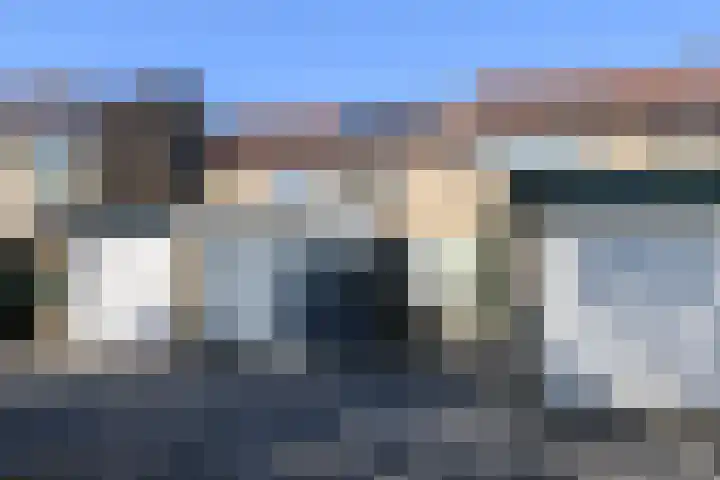 Kobbeflecht 125 Hurdegaryp thumbnail 10