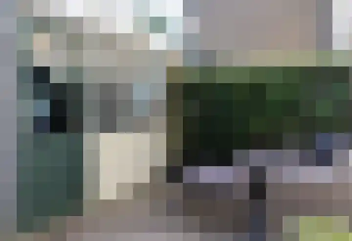 Kobbeflecht 125 Hurdegaryp thumbnail 12