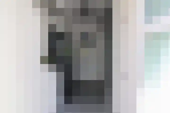 Kobbeflecht 125 Hurdegaryp thumbnail 13