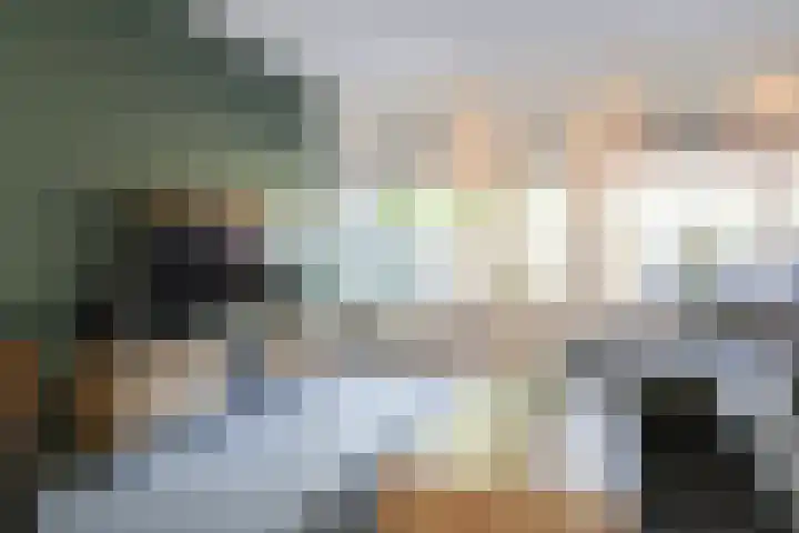 Kobbeflecht 125 Hurdegaryp thumbnail 17