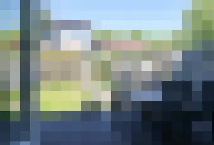 Kobbeflecht 125 Hurdegaryp thumbnail 19