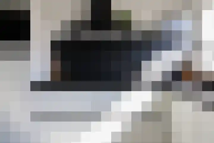 Kobbeflecht 125 Hurdegaryp thumbnail 29