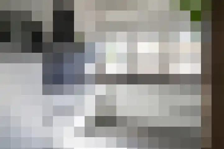 Kobbeflecht 125 Hurdegaryp thumbnail 4