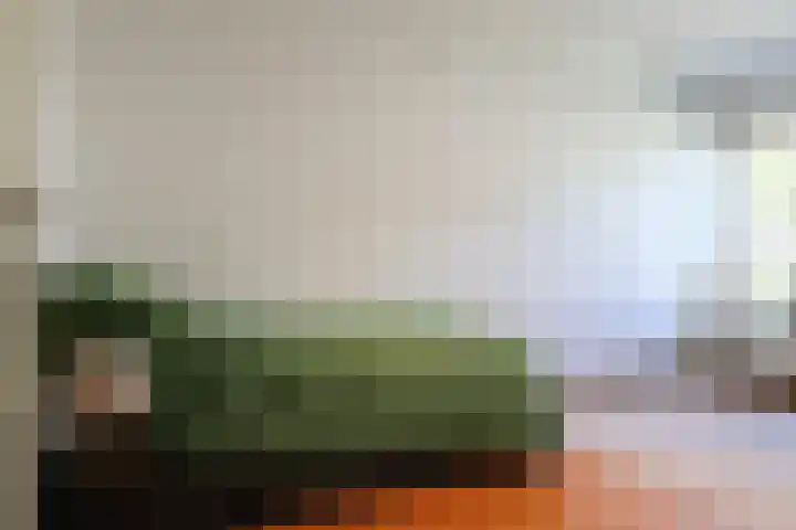 Kobbeflecht 125 Hurdegaryp thumbnail 40