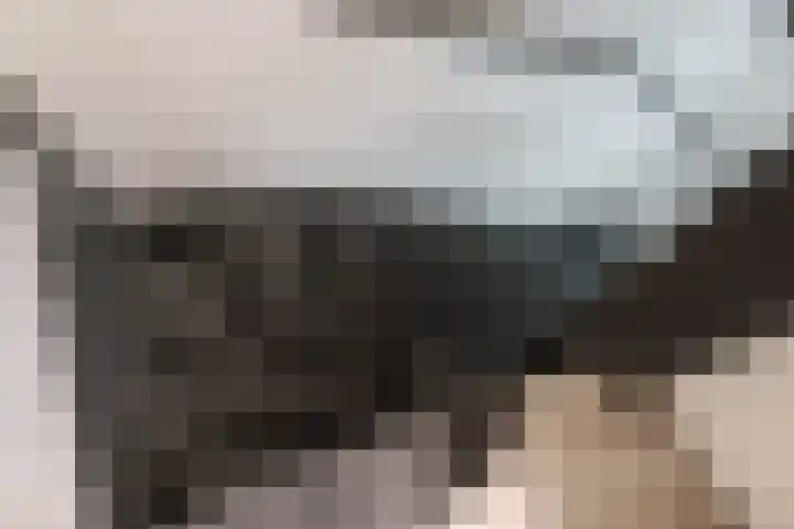 Kobbeflecht 125 Hurdegaryp thumbnail 50