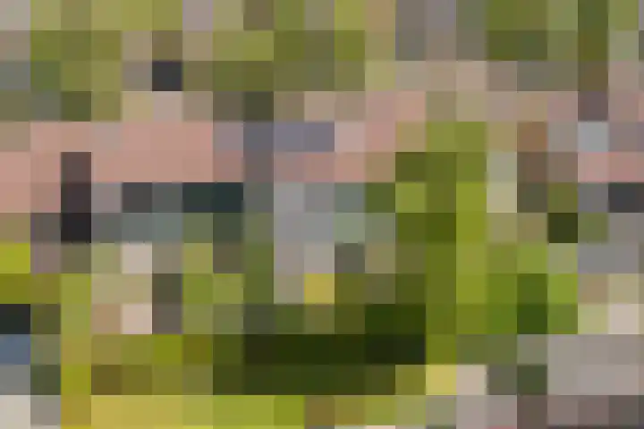 Kobbeflecht 125 Hurdegaryp thumbnail 54
