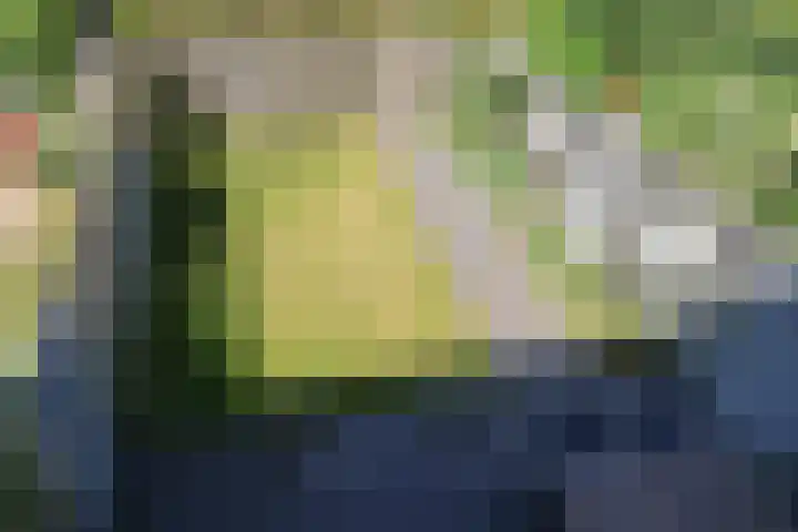Kobbeflecht 125 Hurdegaryp thumbnail 55