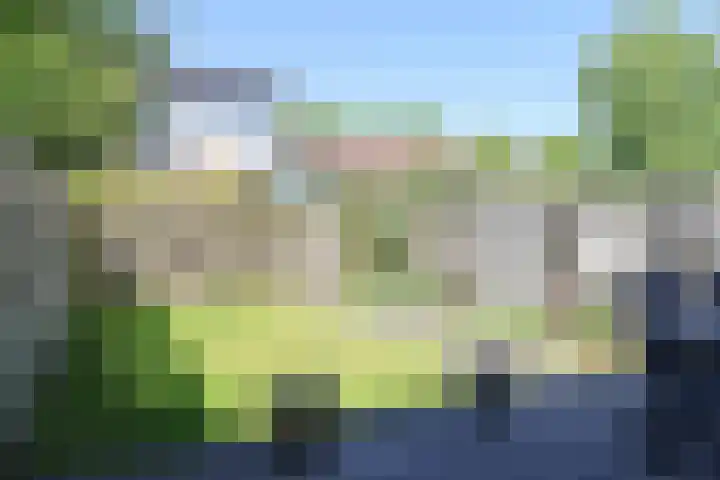 Kobbeflecht 125 Hurdegaryp thumbnail 56