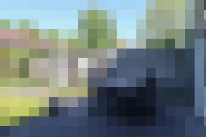 Kobbeflecht 125 Hurdegaryp thumbnail 57