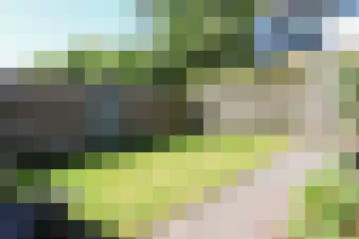 Kobbeflecht 125 Hurdegaryp thumbnail 58
