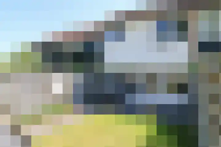 Kobbeflecht 125 Hurdegaryp thumbnail 60