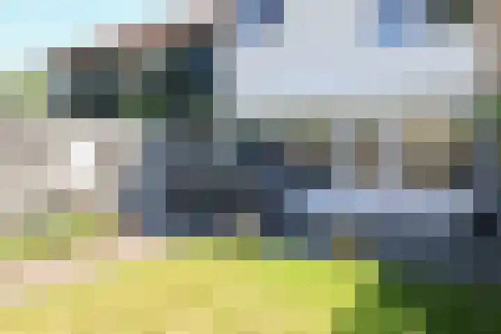 Kobbeflecht 125 Hurdegaryp thumbnail 61