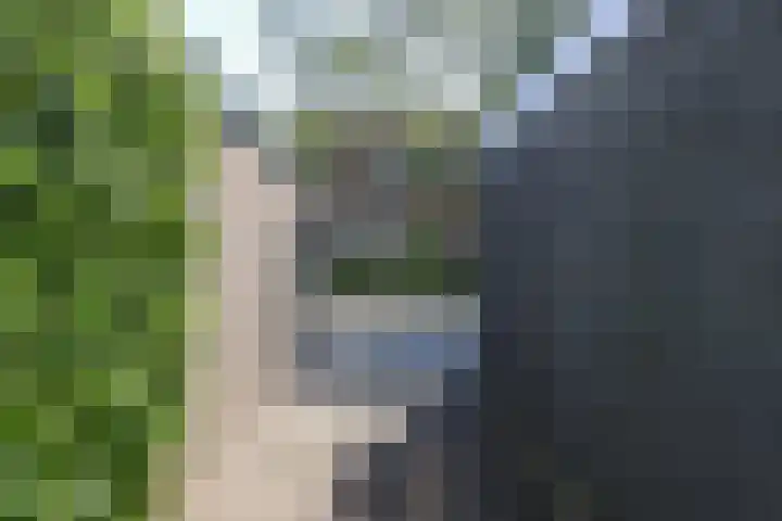 Kobbeflecht 125 Hurdegaryp thumbnail 62
