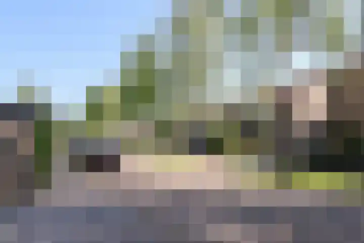 Kobbeflecht 125 Hurdegaryp thumbnail 64