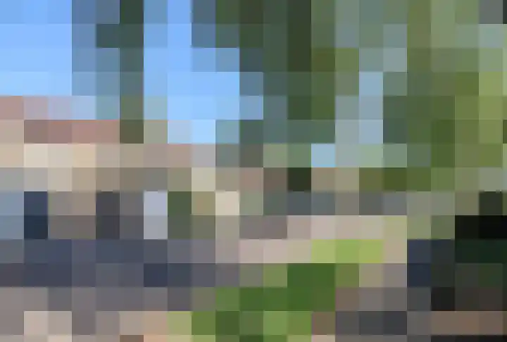 Kobbeflecht 125 Hurdegaryp thumbnail 65