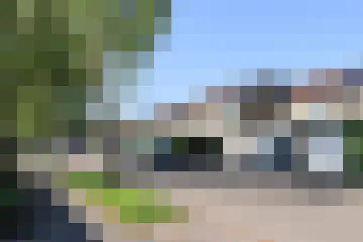 Kobbeflecht 125 Hurdegaryp thumbnail 66