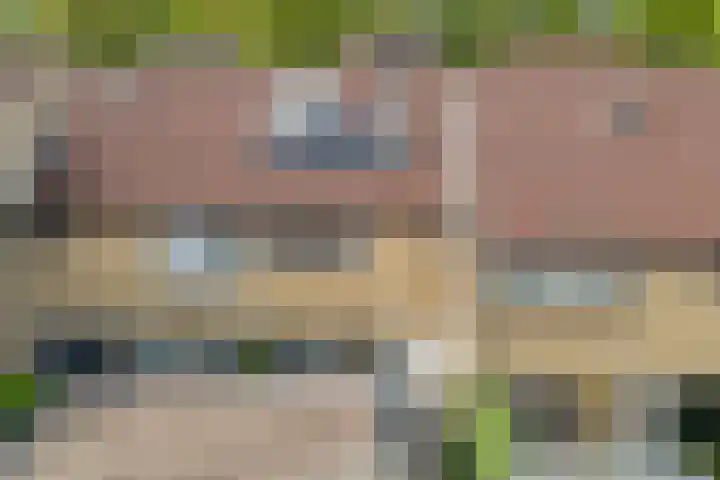 Kobbeflecht 125 Hurdegaryp thumbnail 67