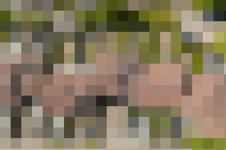Kobbeflecht 125 Hurdegaryp thumbnail 68