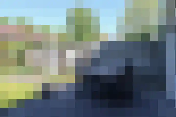 Kobbeflecht 125 Hurdegaryp thumbnail 7