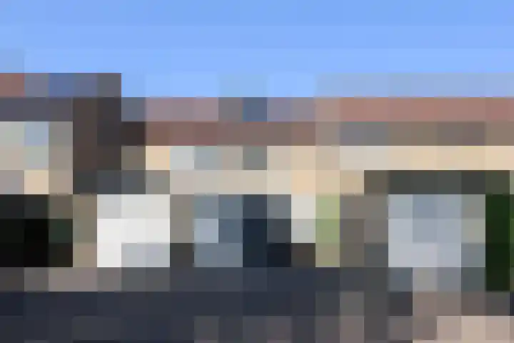 Kobbeflecht 125 Hurdegaryp thumbnail 9