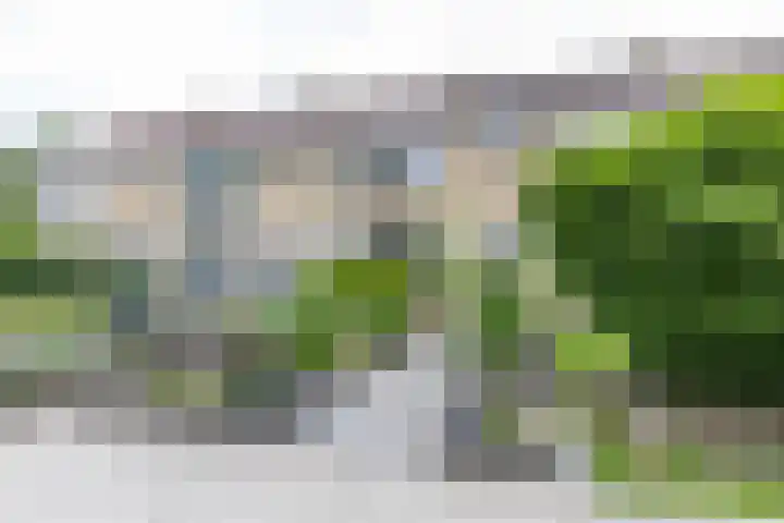 Kobbeflecht 17 Hurdegaryp thumbnail 10