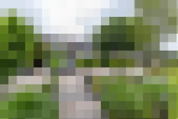 Kobbeflecht 17 Hurdegaryp thumbnail 14