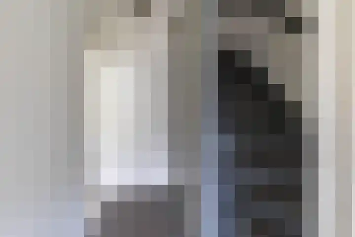 Kobbeflecht 17 Hurdegaryp thumbnail 15