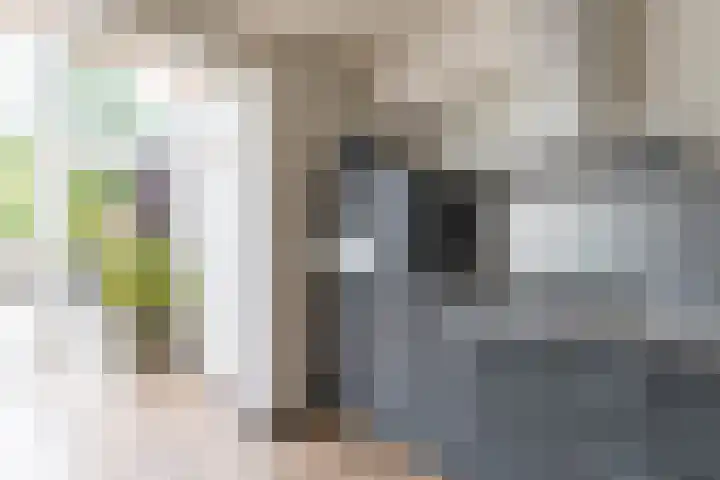 Kobbeflecht 17 Hurdegaryp thumbnail 25