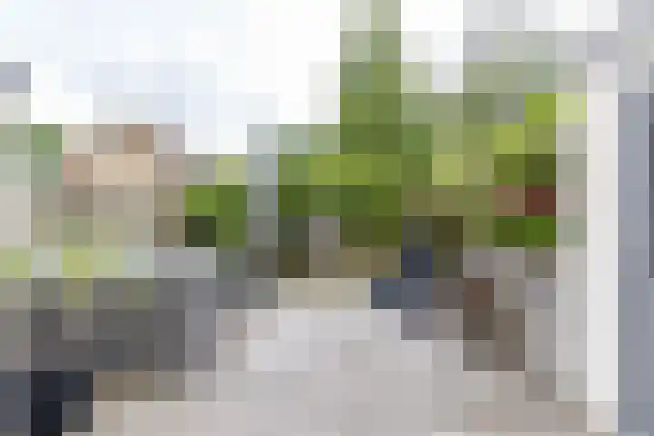 Kobbeflecht 17 Hurdegaryp thumbnail 32