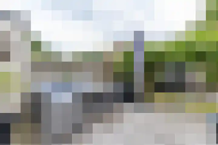 Kobbeflecht 17 Hurdegaryp thumbnail 33