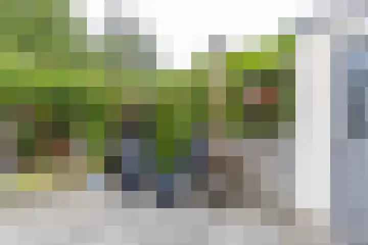 Kobbeflecht 17 Hurdegaryp thumbnail 34