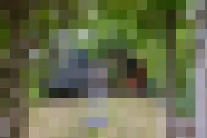 Kobbeflecht 17 Hurdegaryp thumbnail 35