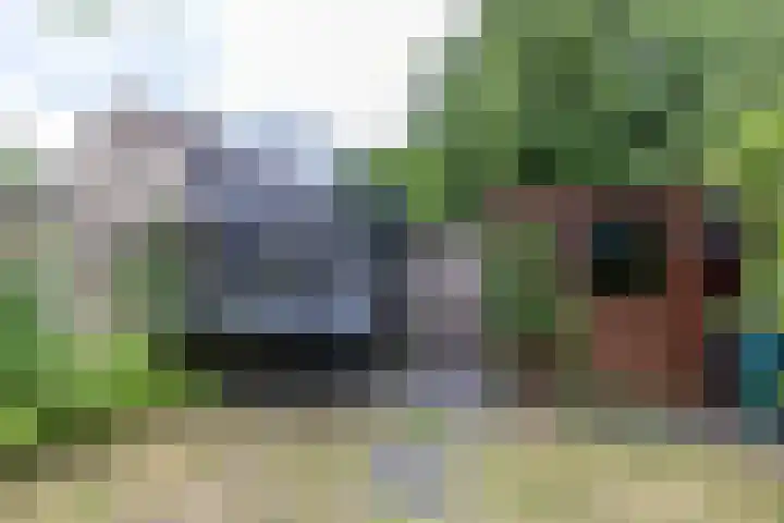 Kobbeflecht 17 Hurdegaryp thumbnail 36