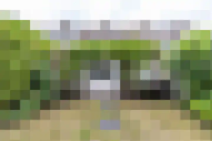 Kobbeflecht 17 Hurdegaryp thumbnail 37