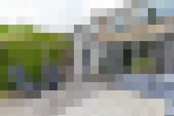 Kobbeflecht 17 Hurdegaryp thumbnail 39