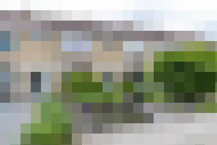 Kobbeflecht 17 Hurdegaryp thumbnail 7
