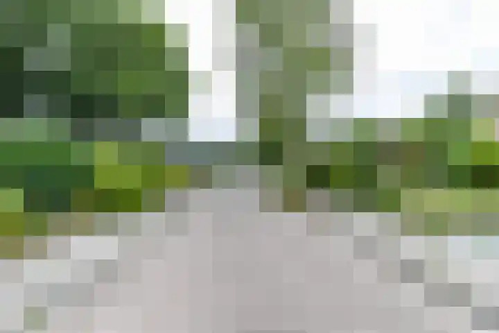 Kobbeflecht 17 Hurdegaryp thumbnail 9