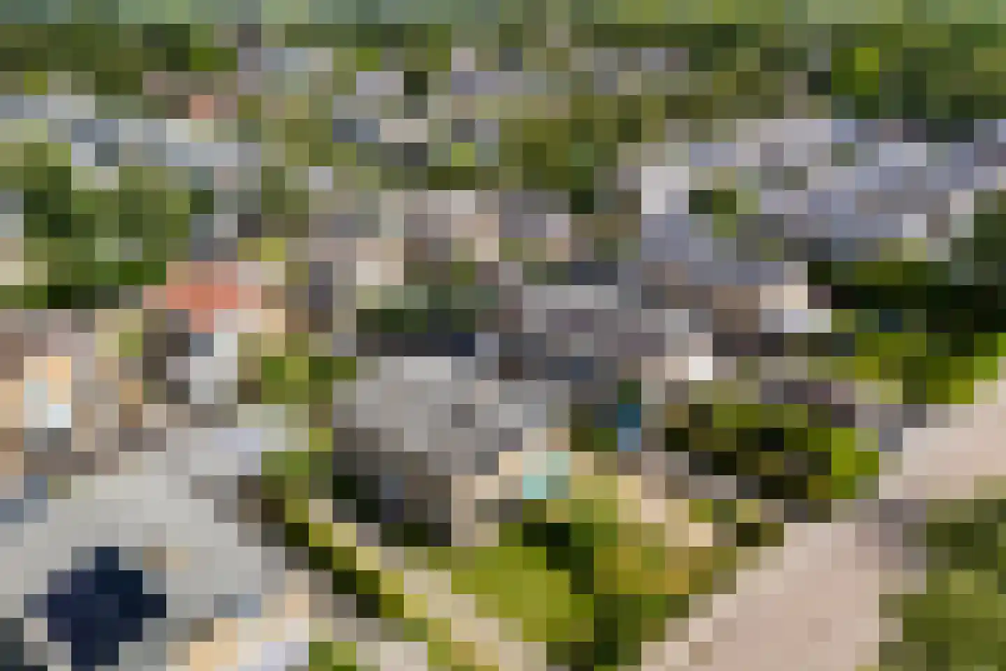 Kobbeflecht 34 Hurdegaryp thumbnail 25