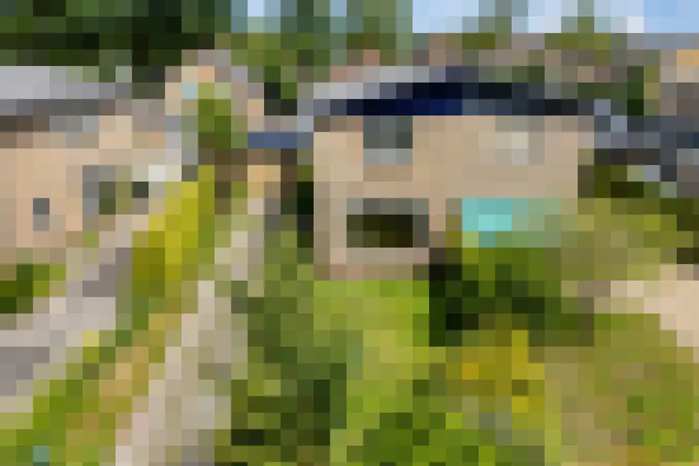 Kobbeflecht 34 Hurdegaryp thumbnail 4