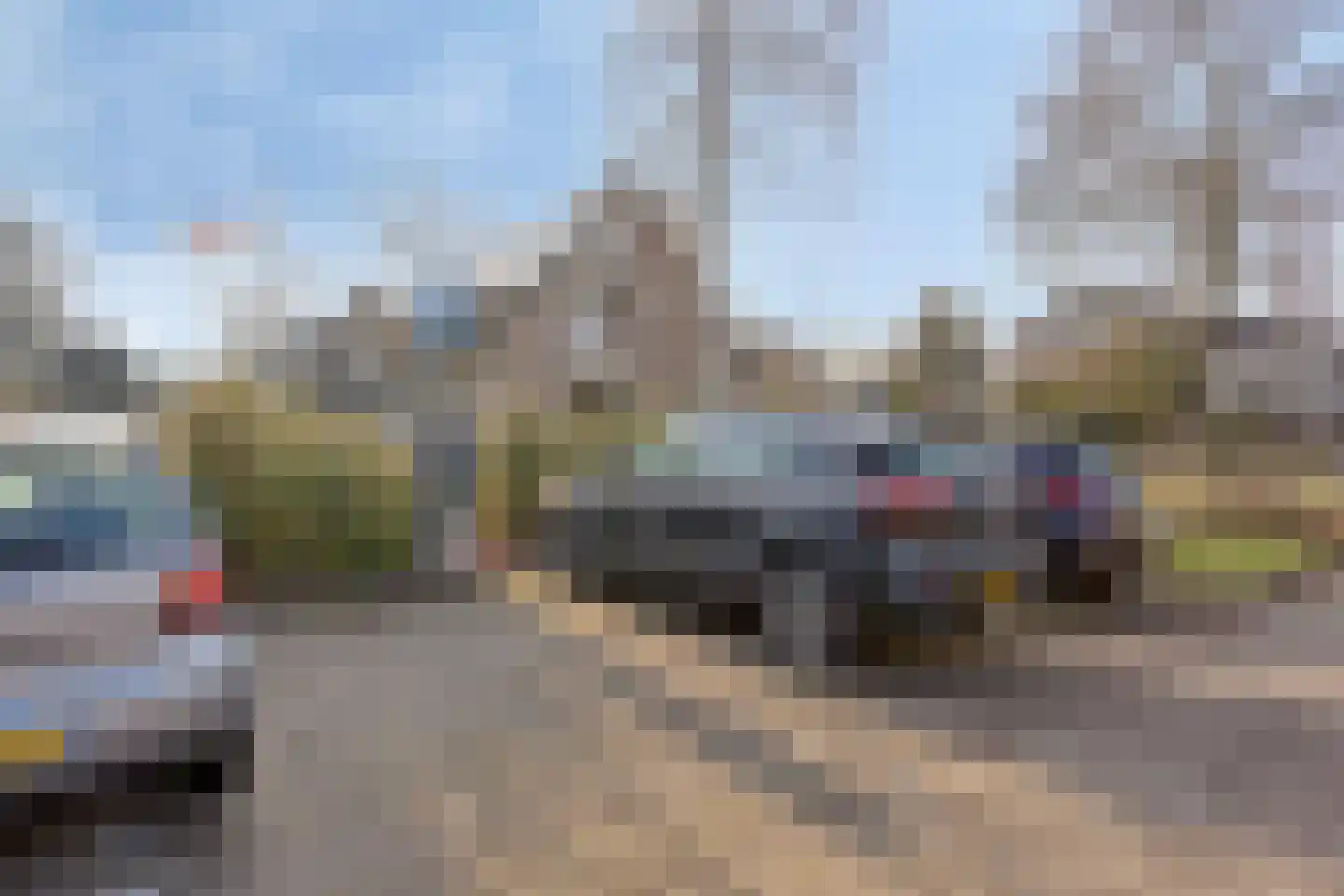 Kobbeflecht 36 Hurdegaryp thumbnail 4