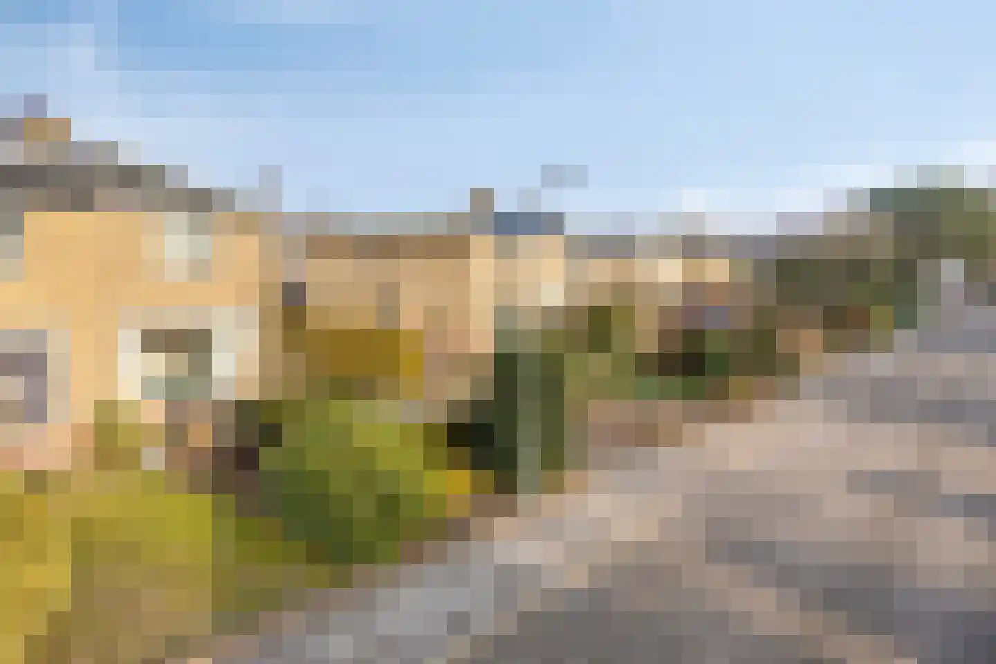 Kobbeflecht 36 Hurdegaryp thumbnail 5