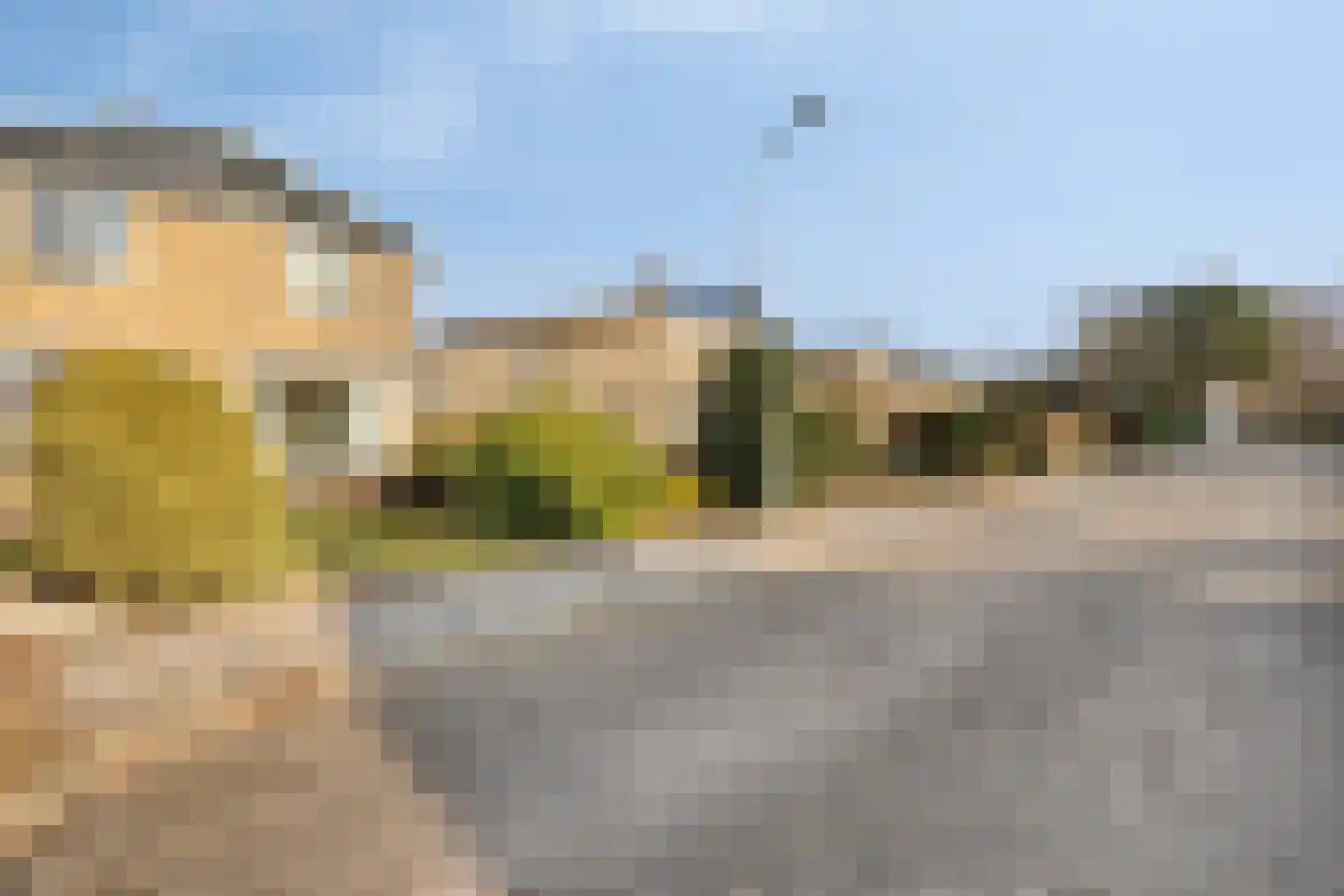 Kobbeflecht 36 Hurdegaryp thumbnail 6