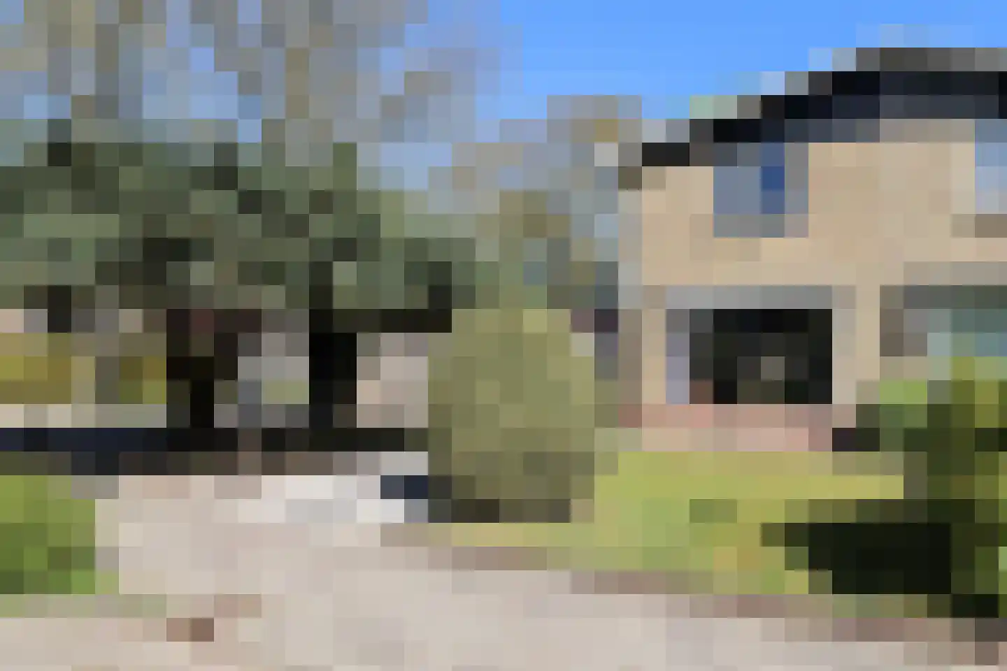 Kobbeflecht 38 Hurdegaryp thumbnail 10