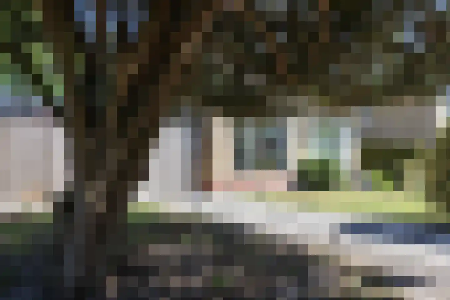 Kobbeflecht 38 Hurdegaryp thumbnail 11