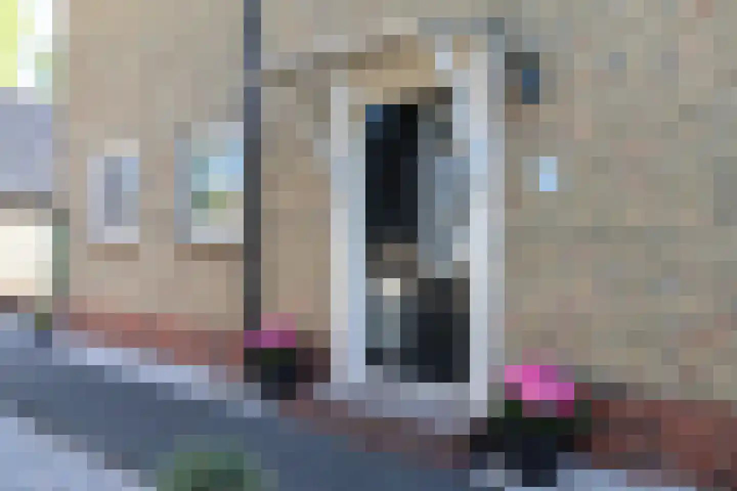 Kobbeflecht 38 Hurdegaryp thumbnail 14