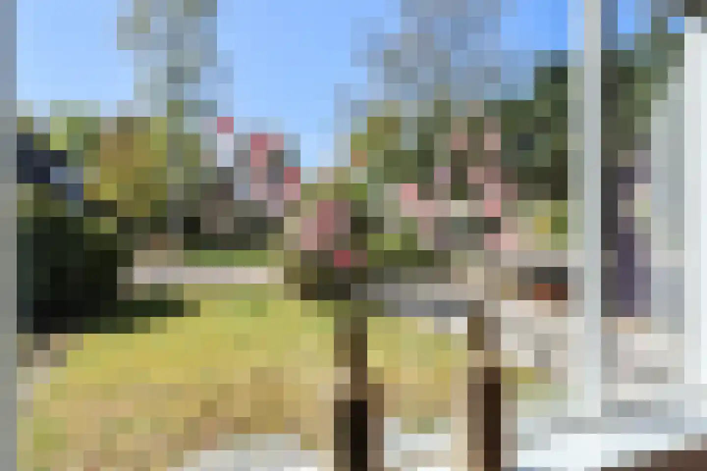 Kobbeflecht 38 Hurdegaryp thumbnail 20