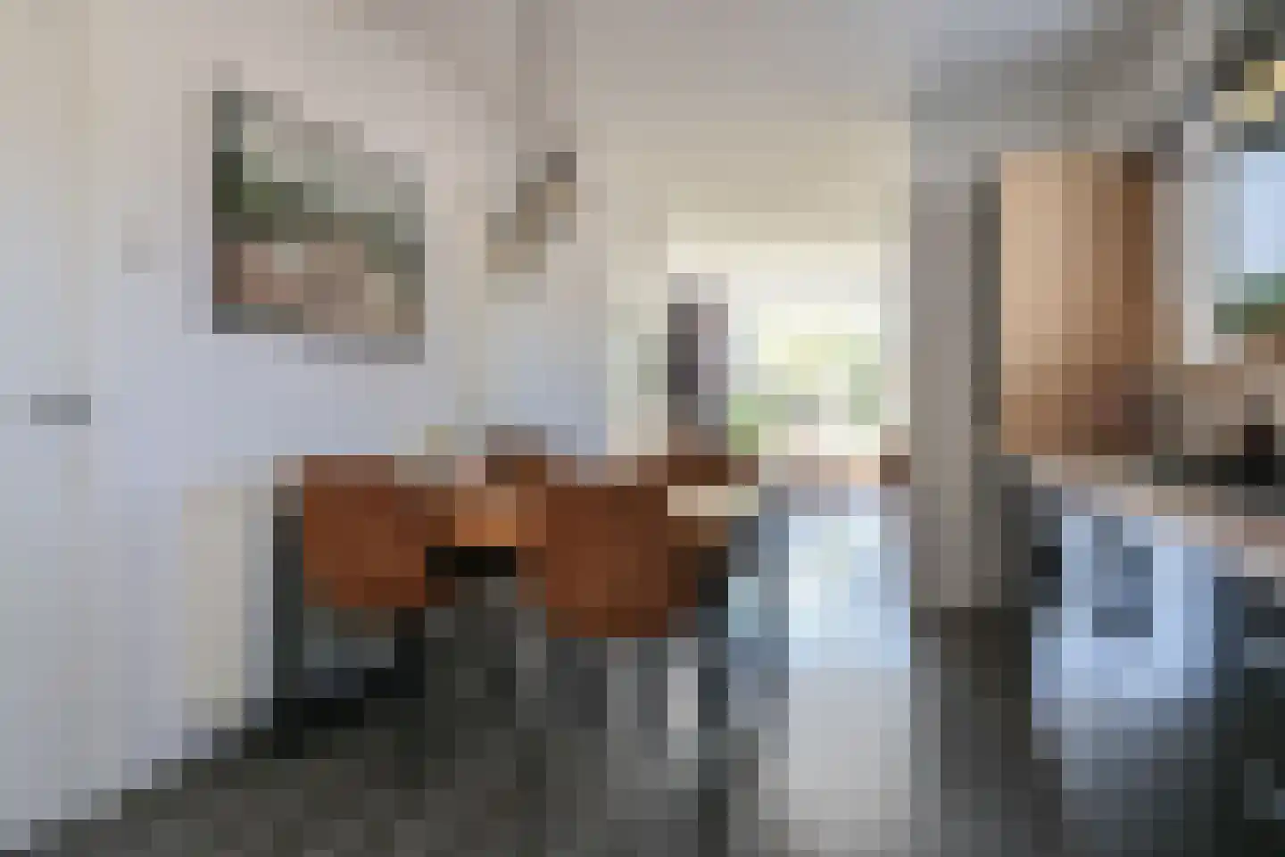 Kobbeflecht 38 Hurdegaryp thumbnail 30