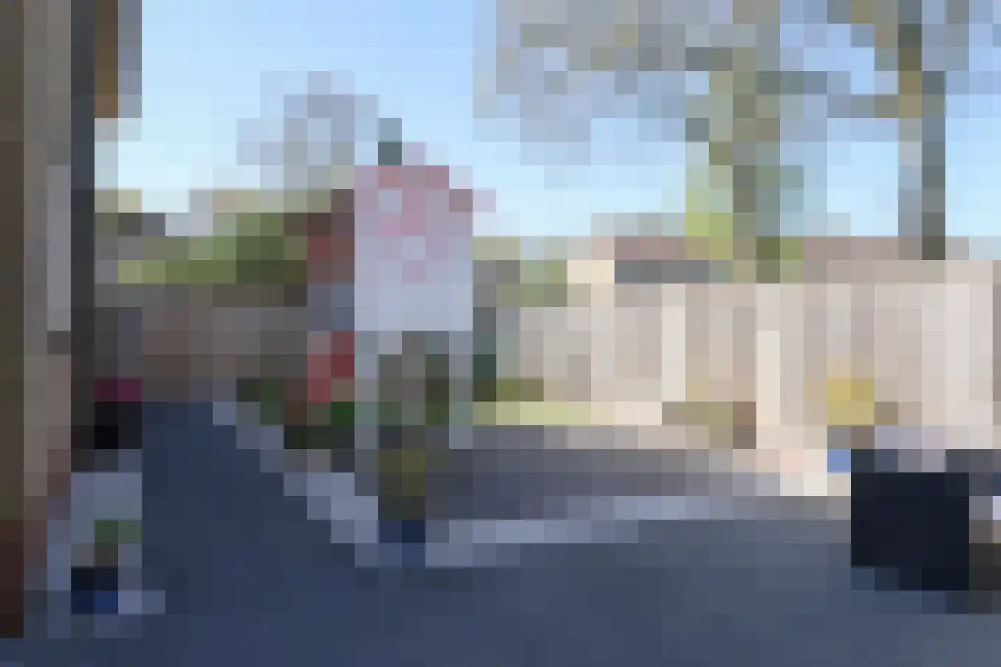 Kobbeflecht 38 Hurdegaryp thumbnail 48