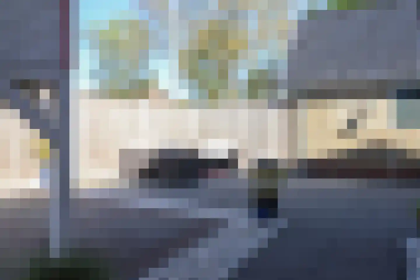 Kobbeflecht 38 Hurdegaryp thumbnail 51