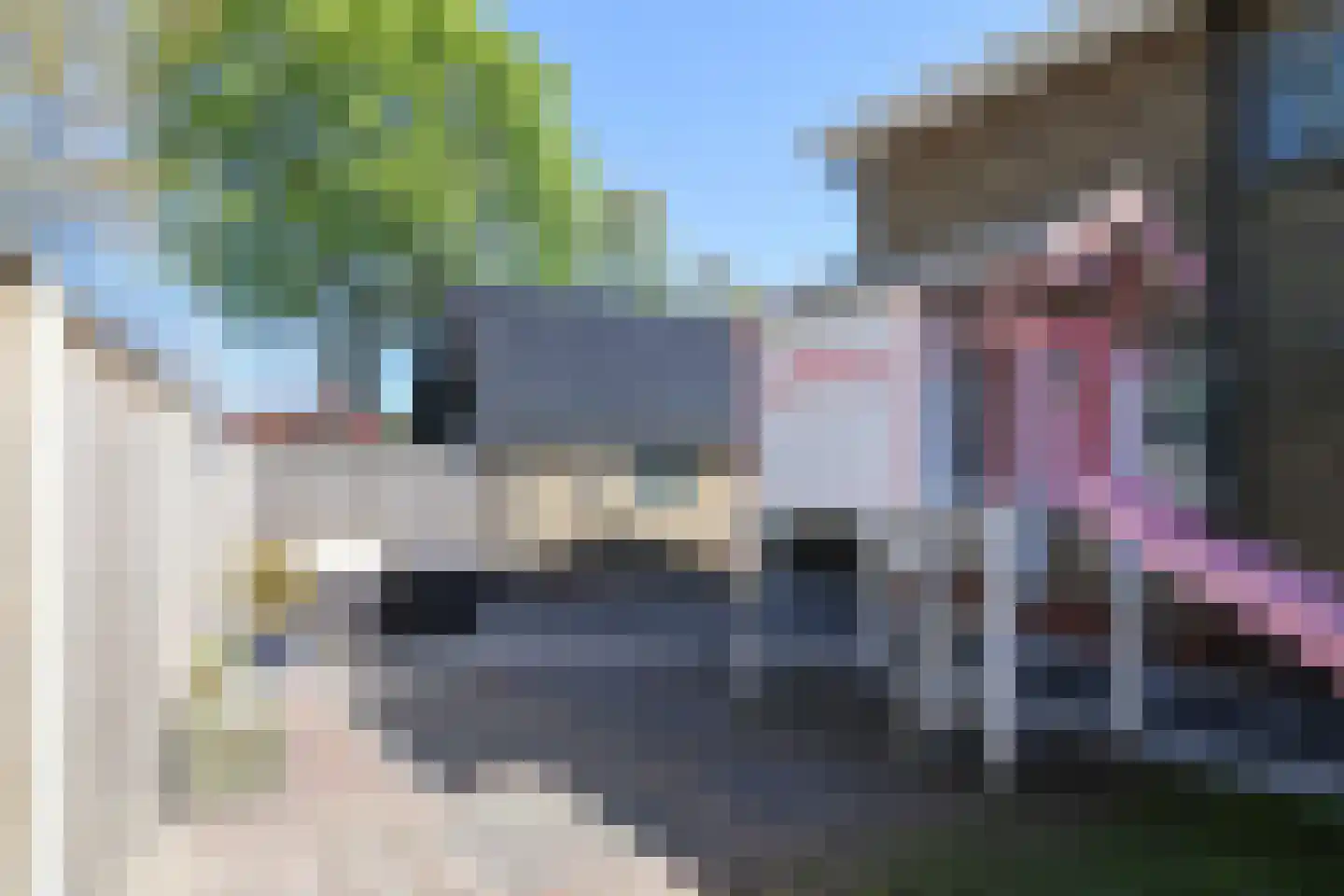 Kobbeflecht 38 Hurdegaryp thumbnail 54